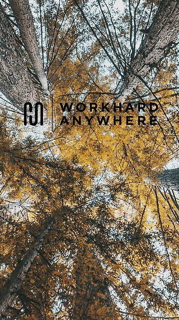 Work hard anywhere HD wallpapers | Pxfuel