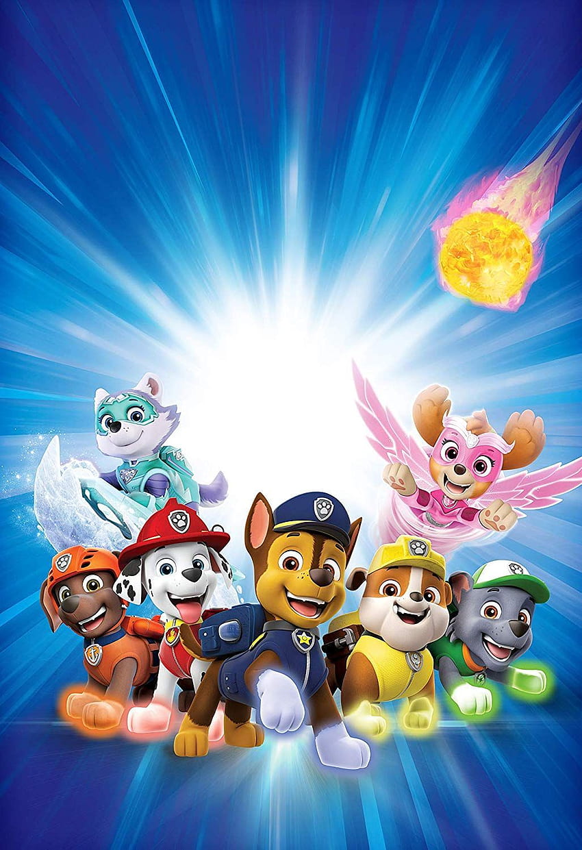 Chase Gallery. PAW Patrol Wiki In 2020. Paw Patrol Pups, Paw Patrol Coloring, Paw Patrol Super Pup, Mighty Pups HD phone wallpaper