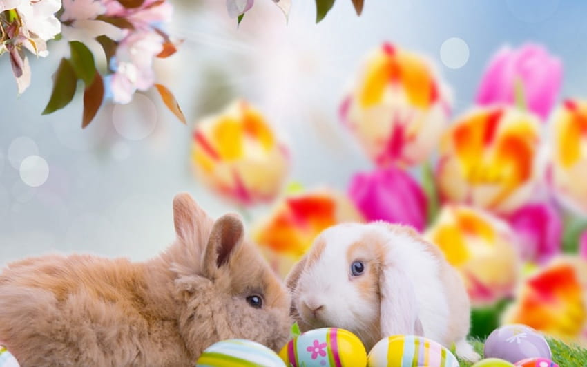 Happy Easter, bunnies, holidays, art, colors, eggs HD wallpaper