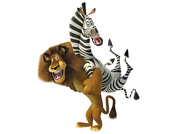 madagascar zebra