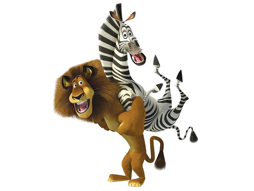 singa madagaskar dan zebra Clip Art, Kartun Zebra Wallpaper HD