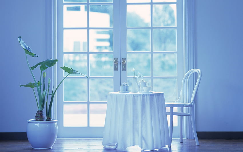 Интериорен дизайн стая бял ярък прозорец стъкло натюрморт обстановка прости мебели панел растения напитки кристална ваза цветя. . 26857 HD тапет
