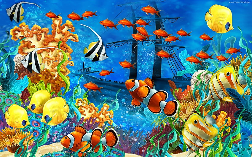 Exotic fish, colorful, blue, peste, clown fish, orange, summer, yellow, underwater, water, vara HD wallpaper