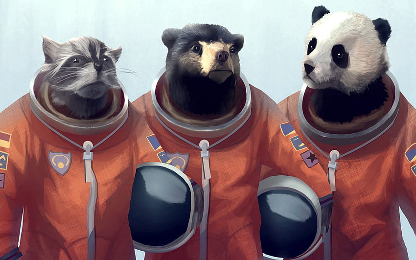 Seni, Kucing, Beruang, , Meng, Panda, Kostum Wallpaper HD