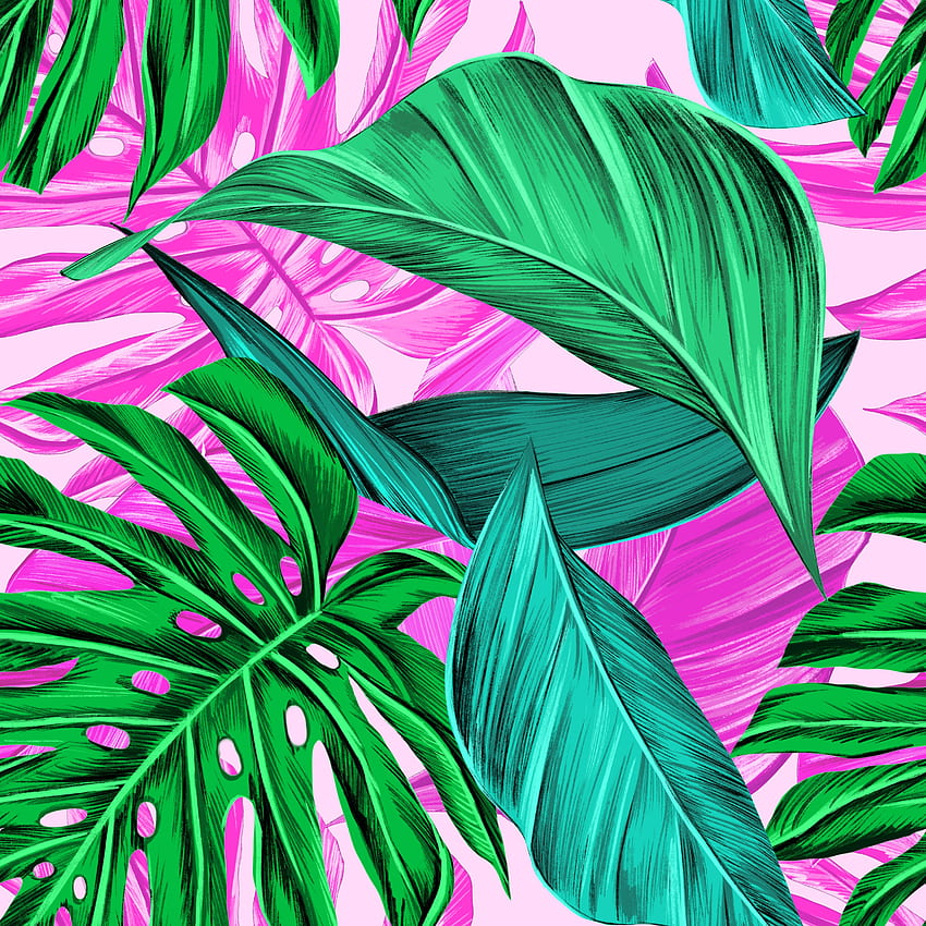 Blätter, hell, Muster, Textur, Texturen, tropisch HD-Handy-Hintergrundbild