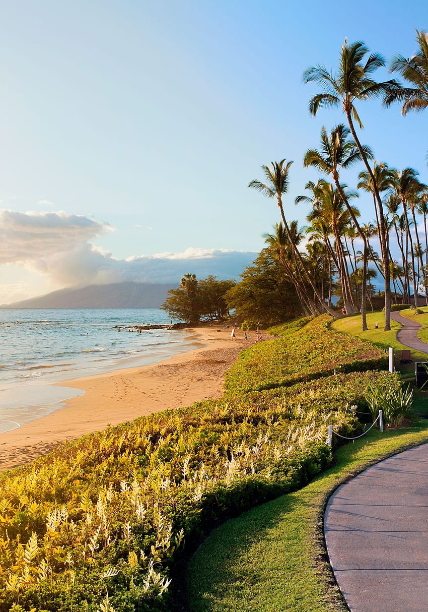 マウイ島からモロカイ島まで、ハワイで最高のビーチ。 コンデナスト トラベラー、ハワイのビーチ シーン HD電話の壁紙