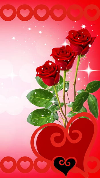 503983 Romantic Red Rose Heart  Rare Gallery HD Wallpapers