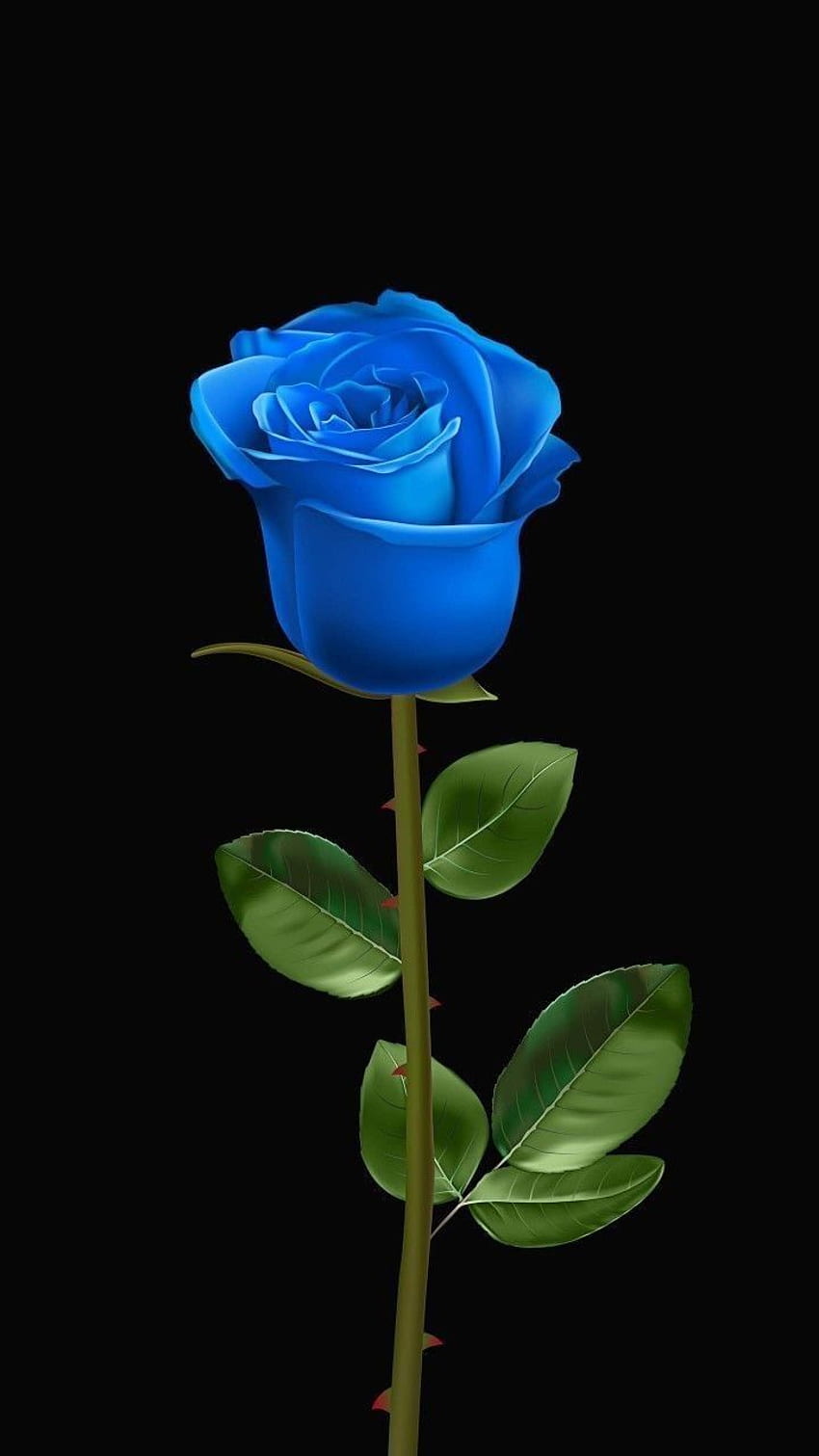 Pomysły na niebieskie róże w 2021 roku. niebieskie róże, piękne róże, niebieska róża, jasnoniebieskie róże Tapeta na telefon HD