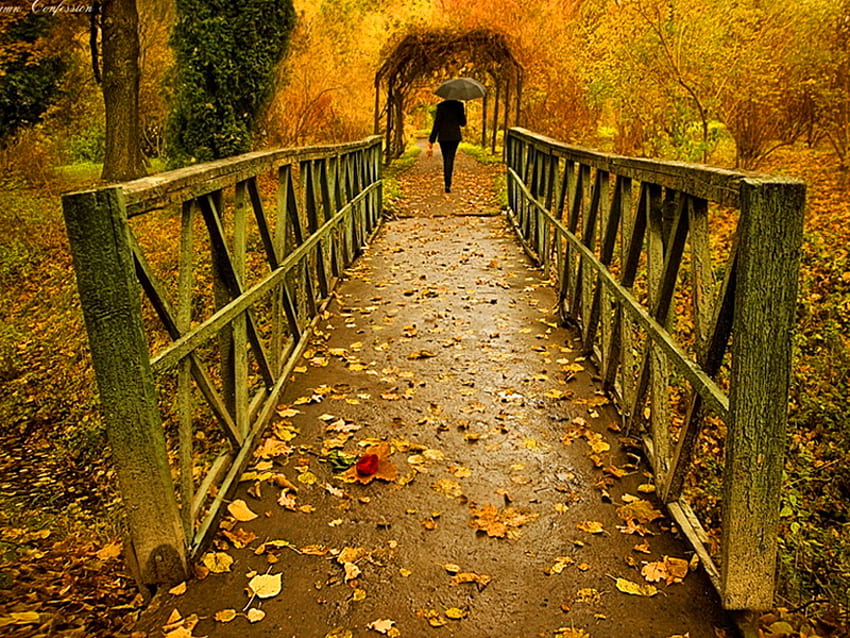 Jour d'automne pluvieux, pluie, automne, homme parapluie, jour, feuilles, pont, automne, nature, forêt Fond d'écran HD