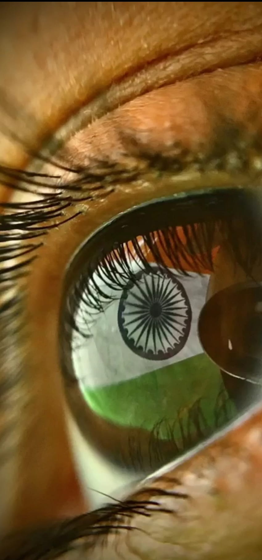 Indie, oko, tęczówka Tapeta na telefon HD