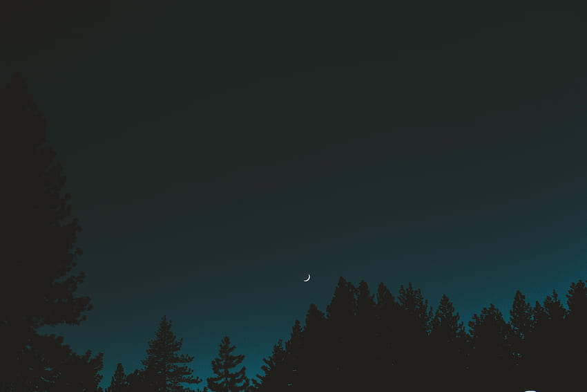 Trees, Sky, Night, Moon, Dark, Crescent HD wallpaper