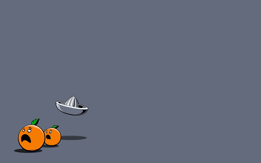 Minimalistic orange oranges fun art grey background . . 8028 HD wallpaper