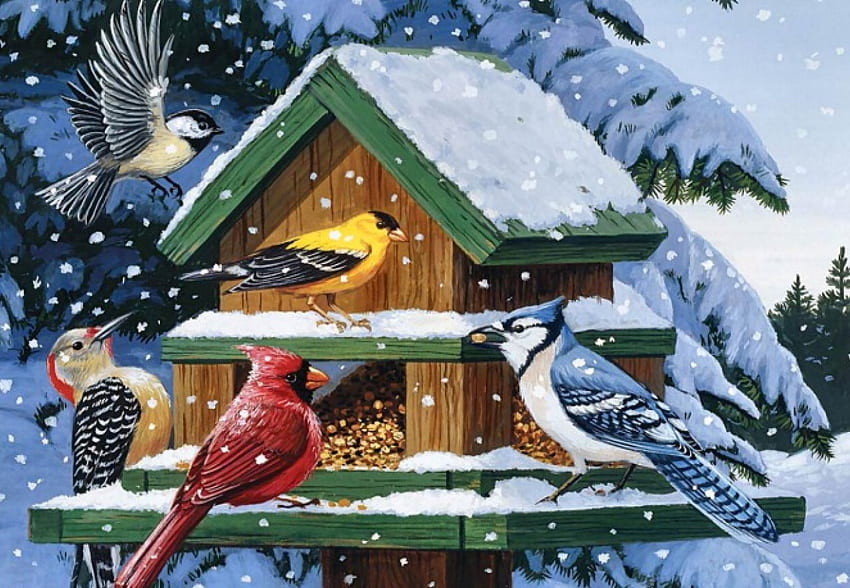 Winter Feast F1, bülbül, kış, hayvan, kuş, sanat, blue alakarga, kuş, sanat eseri, ağaçkakan, geniş ekran, yaban hayatı, boyama, saka kuşu, kardinal HD duvar kağıdı