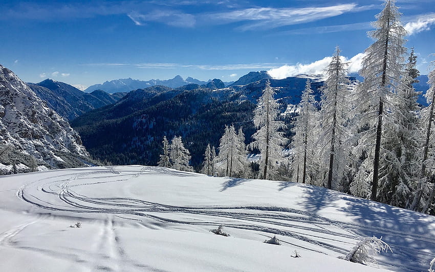 Invierno en Austria, nieve, invierno, Alpes, piceas, Austria, escarcha fondo de pantalla