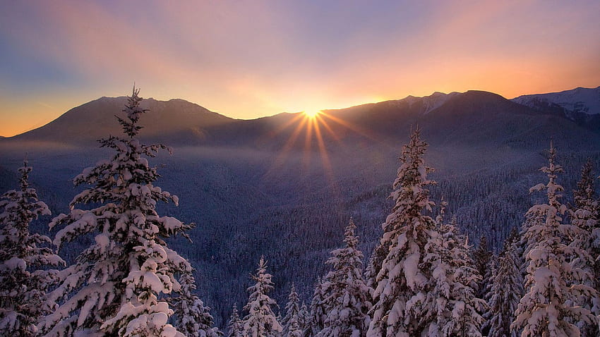 Inverno, natura, tramonto, neve, abeti, bello, gelo, altopiani, area forestale Sfondo HD