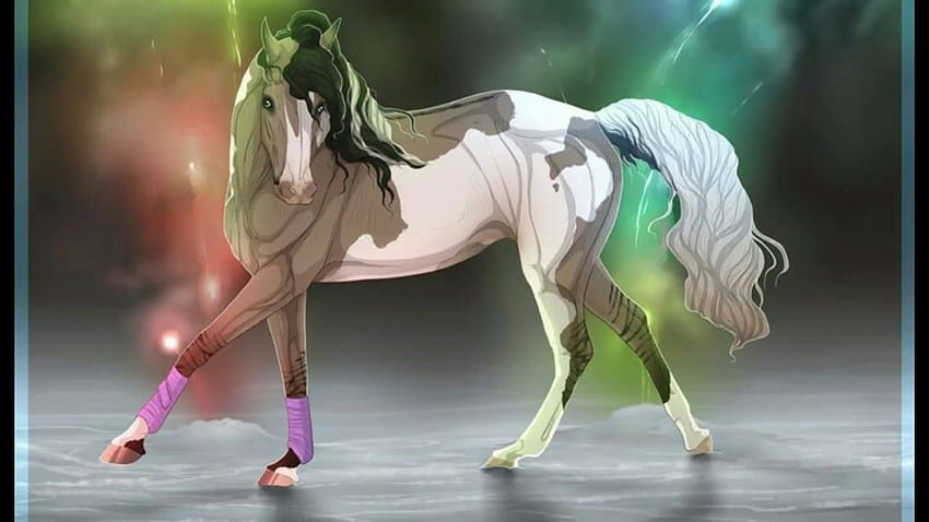 Amazon.com: Womens Anime Girl Horse Rider | Horseriding Women & Teen Girls  Tank Top : Clothing, Shoes & Jewelry