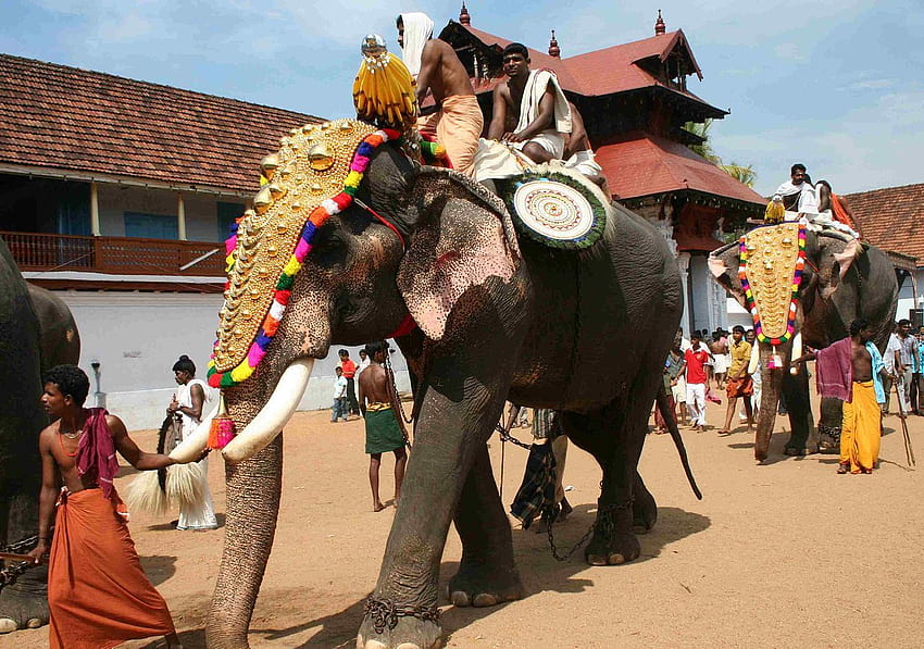 ケララ寺院は、祭りのために象を木製の構造物に置き換えることで模範を示しています, Kerala Elephant 高画質の壁紙