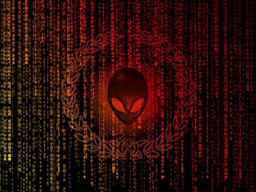 Alienware, Orange Alienware HD wallpaper