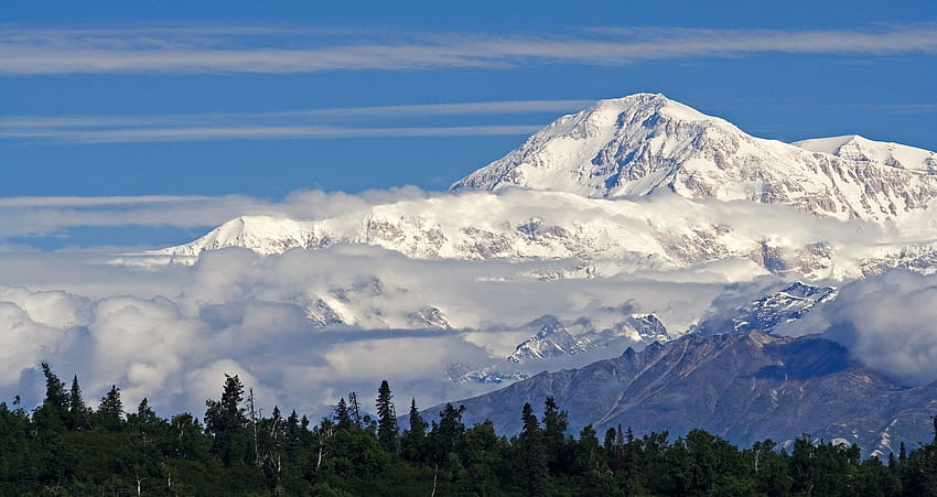 Mount McKinley, Denali National Park, Alaska, niebieski, zima, biały, zimno, alaska, góra, park, śnieg, mckinley, drzewa, narodowy, natura, niebo, denali, las Tapeta HD