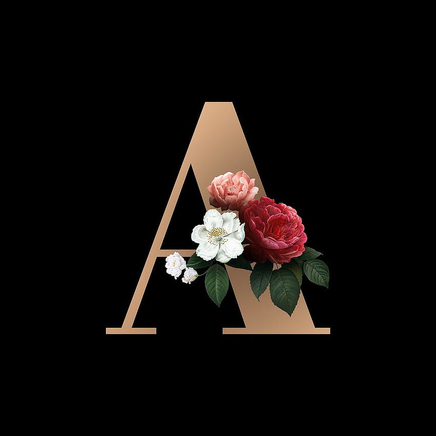 Premium png of Classic and elegant floral alphabet font letter A in 2020. 레터링 알파벳, 글꼴 알파벳, 레터링 글꼴 HD 전화 배경 화면