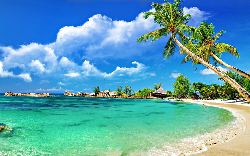 tropical palm beach - Nature - Fine.Eu. Beach , Andaman tour, Andaman and nicobar islands, West Palm Beach HD wallpaper