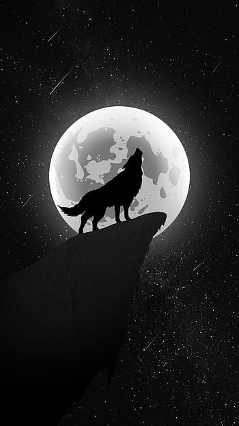 Lone Wolf in Fantasy World HD wallpaper