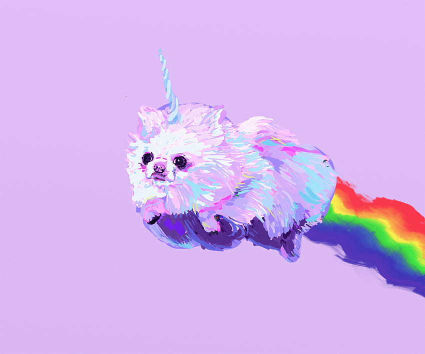 pomeranian drawing - Unicorn , Cute background, Cute rainbow unicorn, Rainbow Dog HD wallpaper