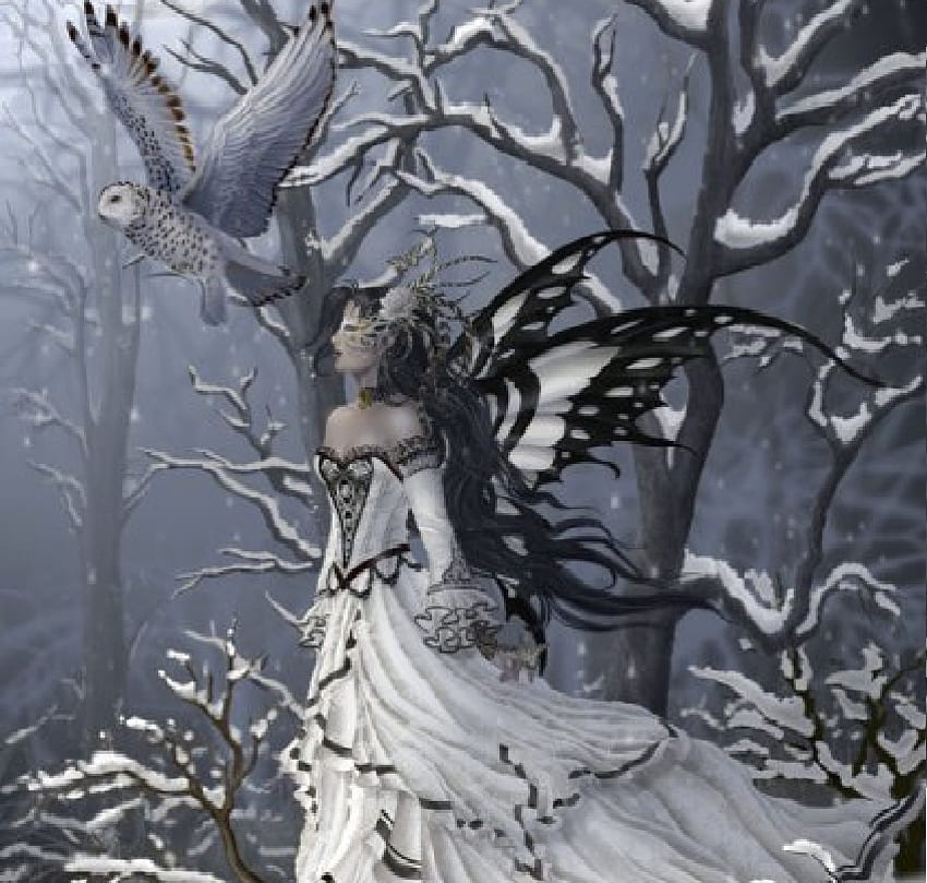 冬の蝶の妖精、妖精、蝶の妖精、冬の妖精 高画質の壁紙