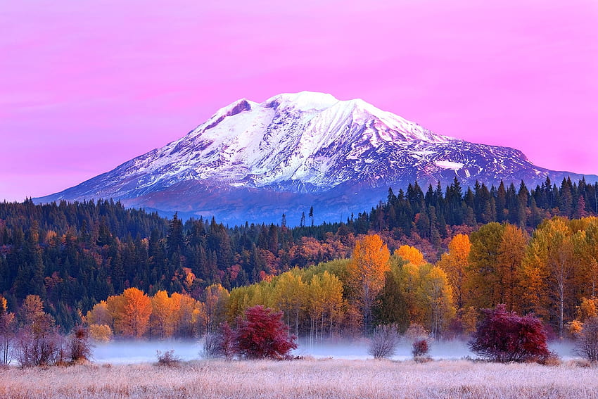 snowy peaks, trees, forest, beautiful. .ua, Mountain Fall HD wallpaper