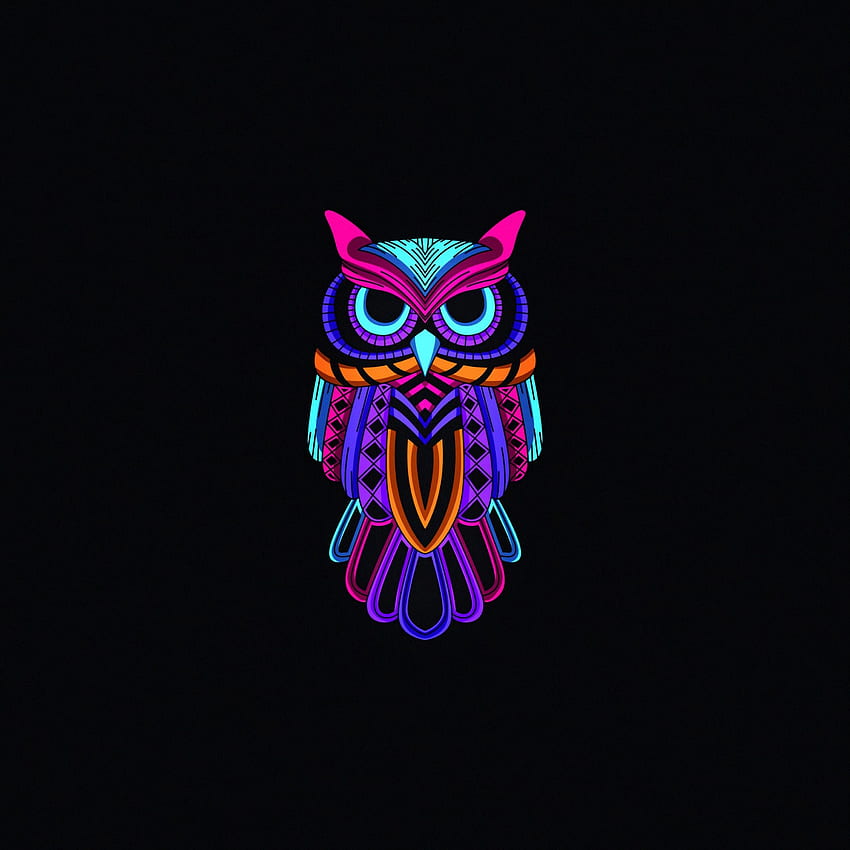Owl for ipad HD wallpapers | Pxfuel