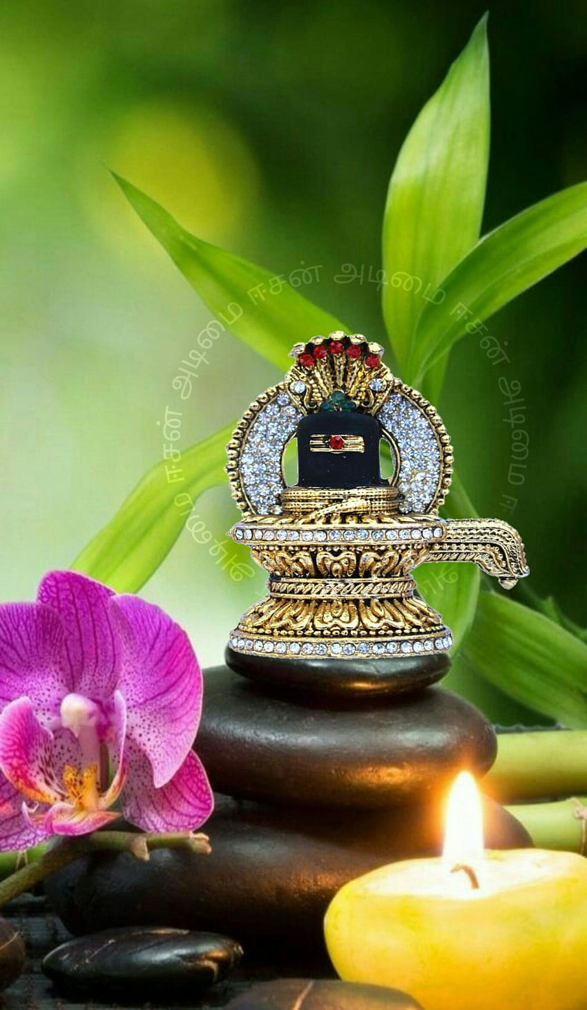 Eesan adimai ஈசன் அடிமை. Shiva lord , Lord, Shivalinga HD phone wallpaper