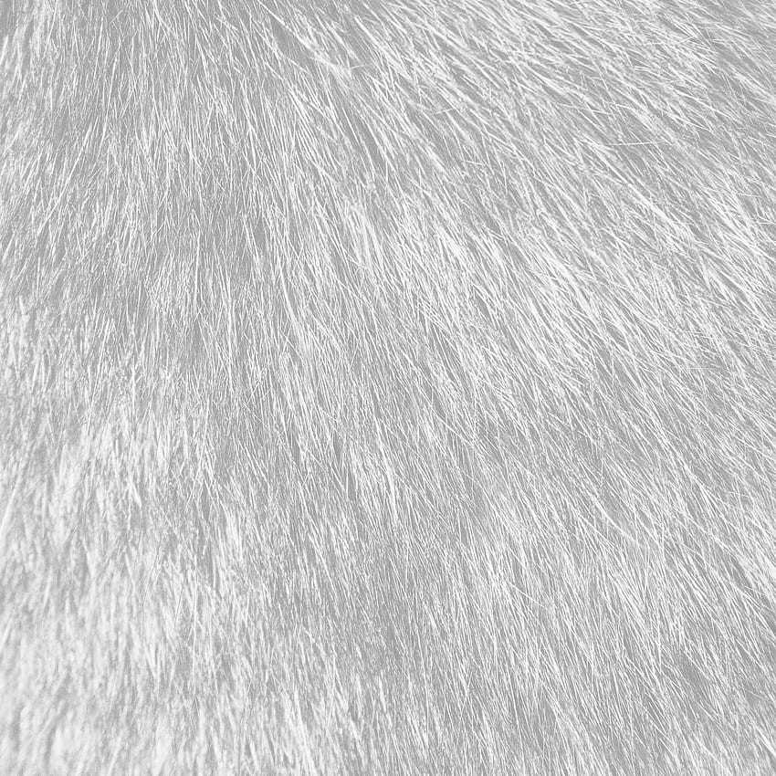 Fur, White Fur HD phone wallpaper