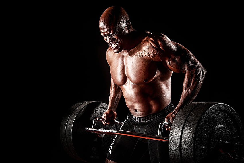 Pria otot binaragawan angkat berat olahraga kekuatan, Kekuatan Wallpaper HD