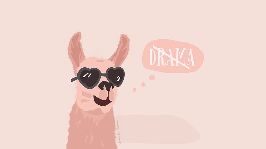 sup llama in 2019, Cute Baby Llama HD wallpaper