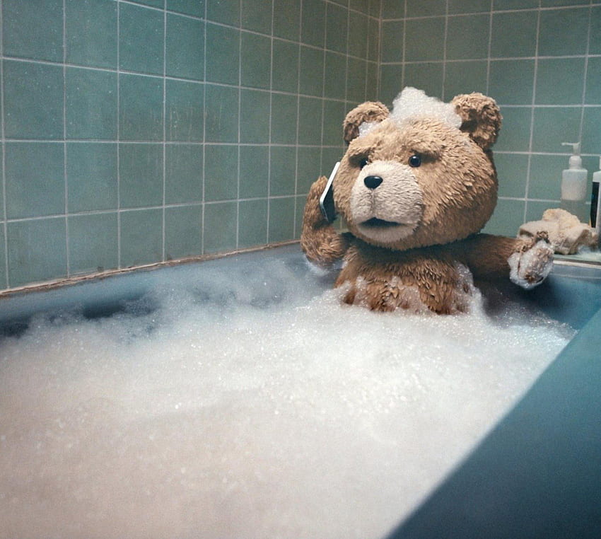 ted bear shower, winter, animal, art, ted bear, , animal Black, food, , fantasy, bear, love, snow, grizzly, fish, Brown bear, polar bear bear cub HD wallpaper