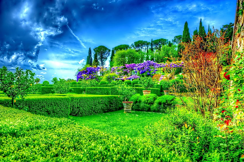 緑の自然の見事な庭園、緑の自然、カラフル、花、庭、暗い空、公園 高画質の壁紙