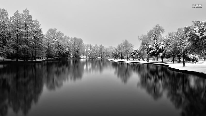 зима, река, сняг, дърво HD тапет