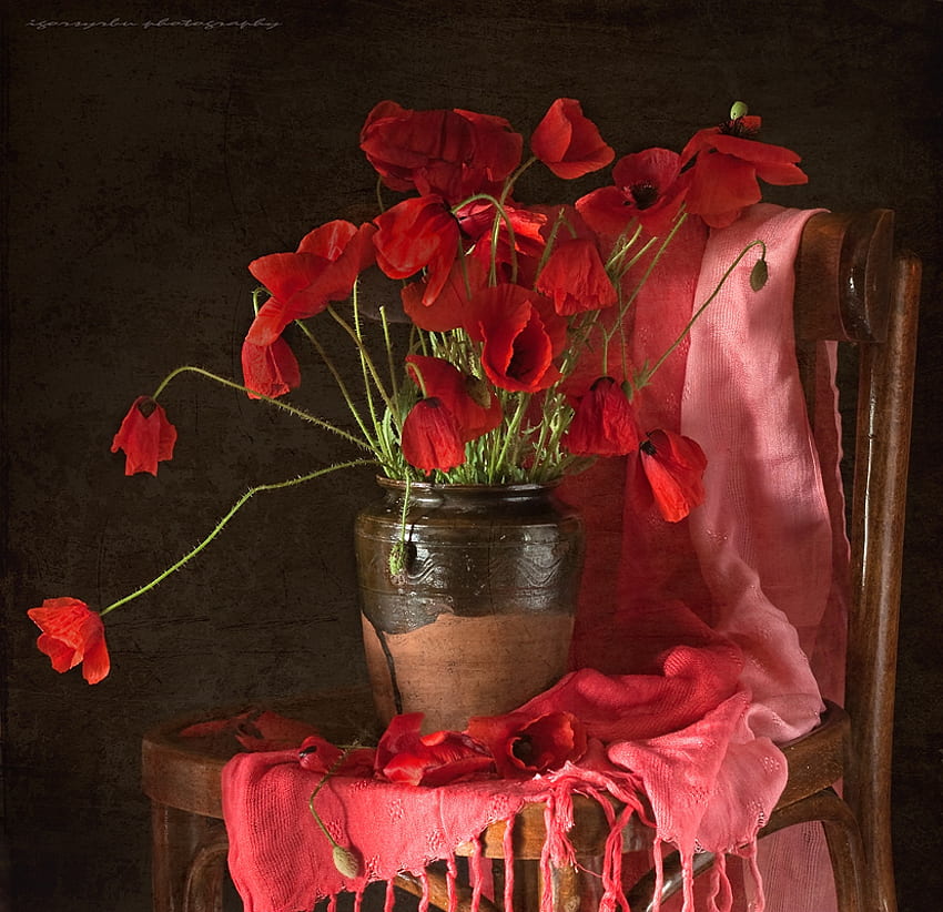 Still Life in Red, chear, ศิลปะ , pot vase, สวยงาม, หุ่นนิ่ง, ดอกป๊อปปี้, ผ้าคลุมไหล่, สีแดง, ดอกไม้ วอลล์เปเปอร์ HD