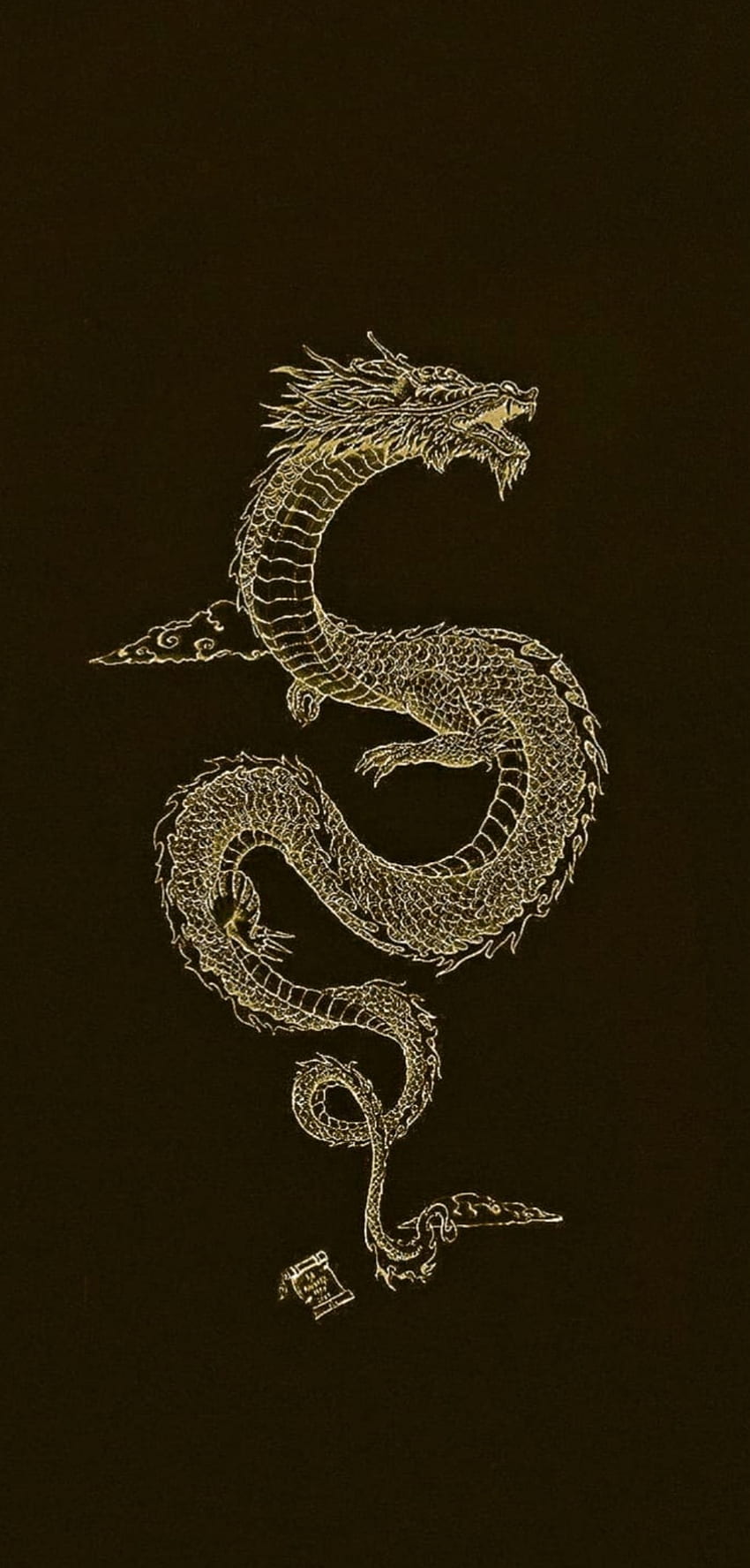 Dragon, gold, simbol HD phone wallpaper
