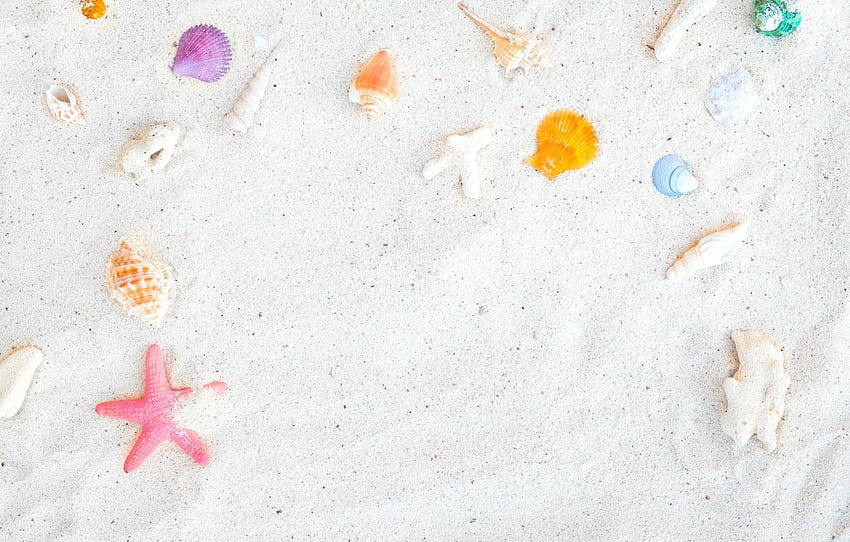 пясък, плаж, фон, звезда, черупка, лято, плаж, пясък, морски, морска звезда, миди за , раздел разное, Pink Seashell HD тапет