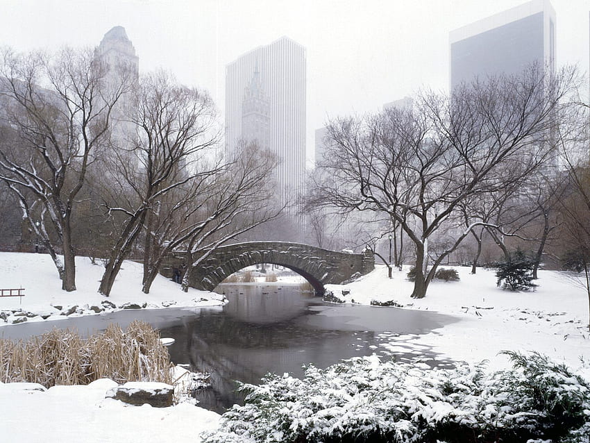 Central Park In Winter New York City New York HD wallpaper