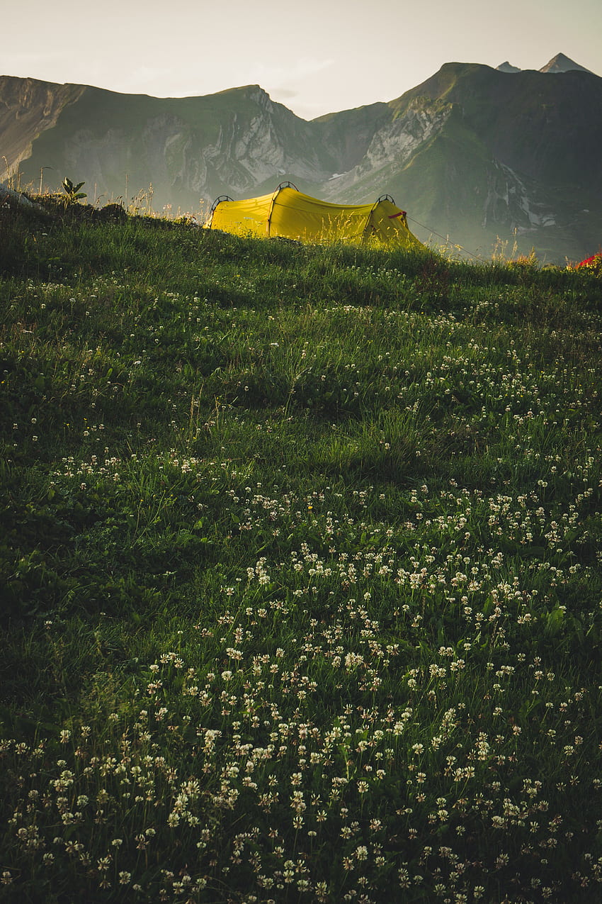 Природа, трева, планини, палатка, къмпинг, къмпинг HD тапет за телефон