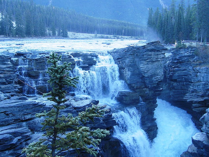 Athabaska Falls, Alberta, wodospady, rzeka, klify, park narodowy jaspisu, skały, drzewo Tapeta HD