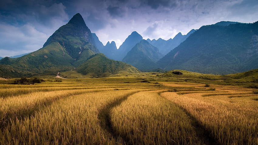 Fansipan Mountain In Sapa (Vietnam) . Studio 10, Vietnam Nature HD wallpaper