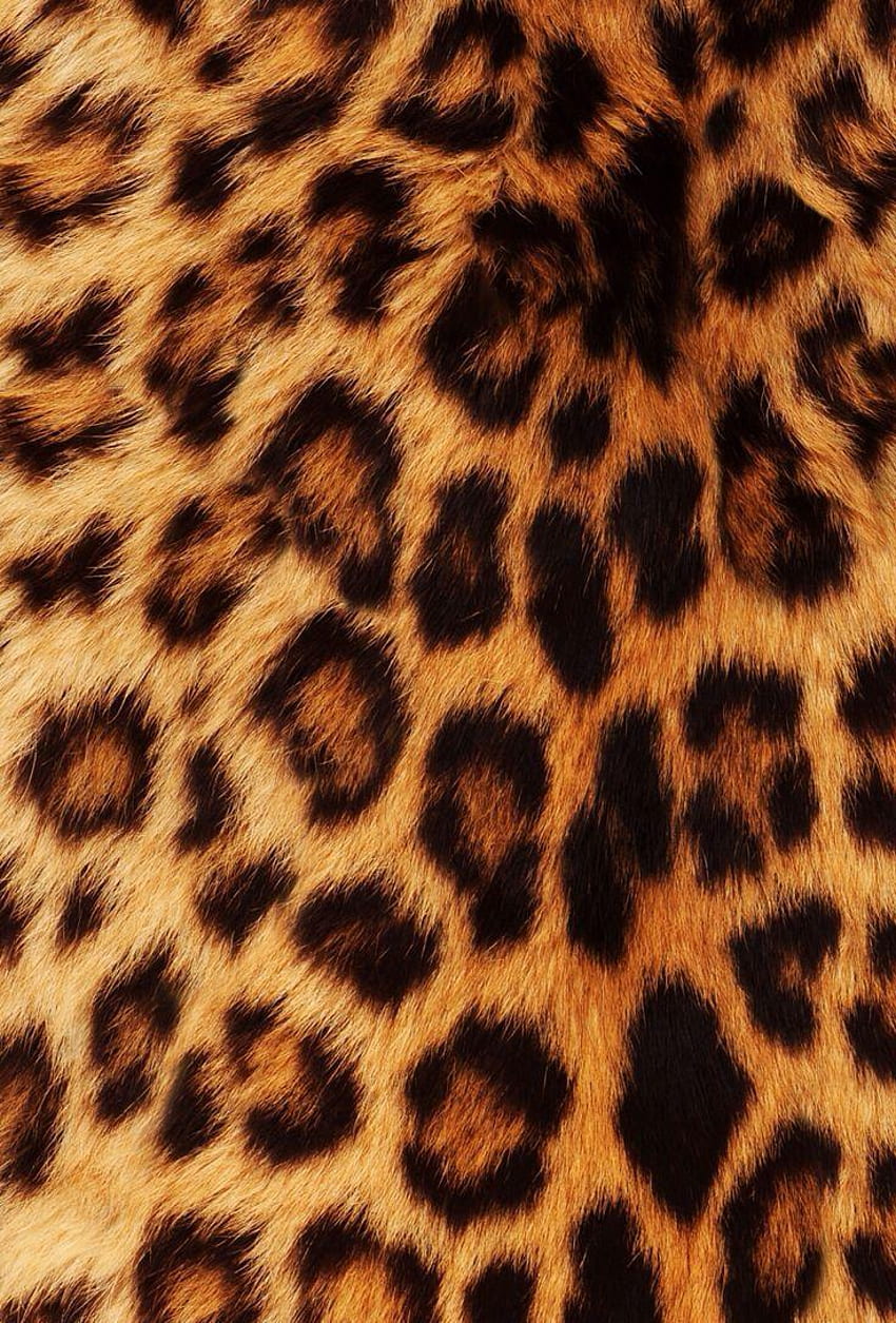 The Best 15 + Leopard Print Pink - Stampa leopardata di alta qualità Sfondo del telefono HD