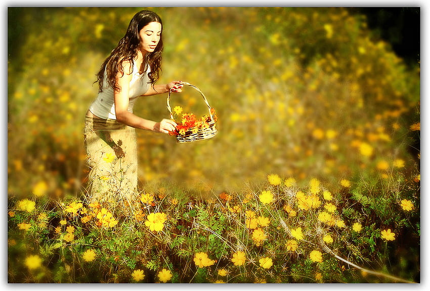 If i had my life to live over, lady, flowers, field, yellow HD wallpaper