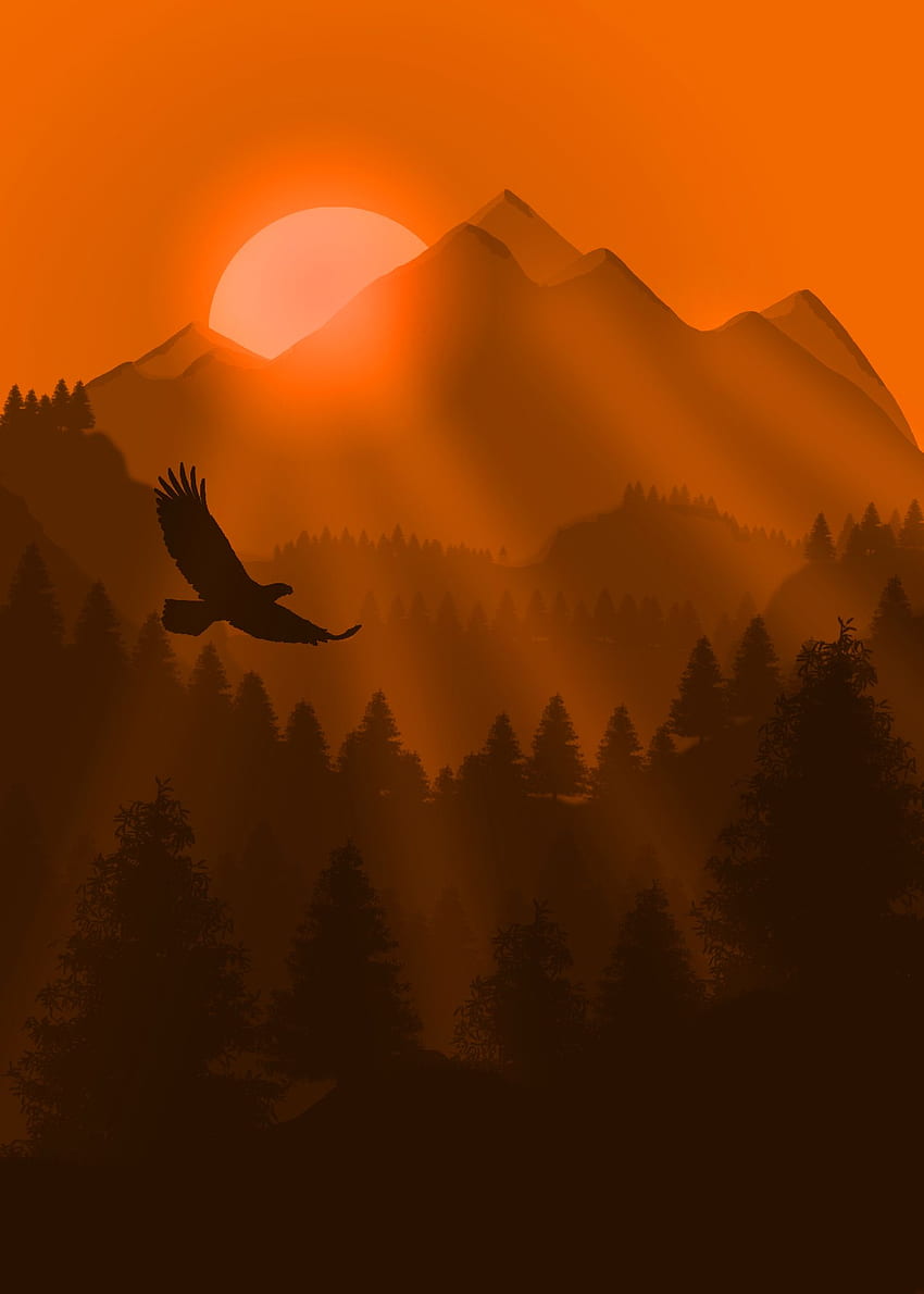 イーグル、鳥、日没、山、アート、ベクトルの背景 HD電話の壁紙