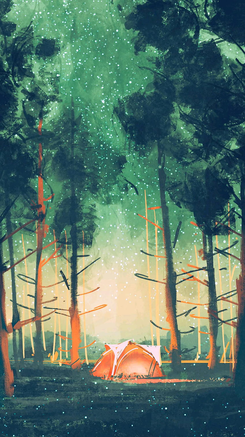 Forest 01, orange, green, night, camp HD phone wallpaper