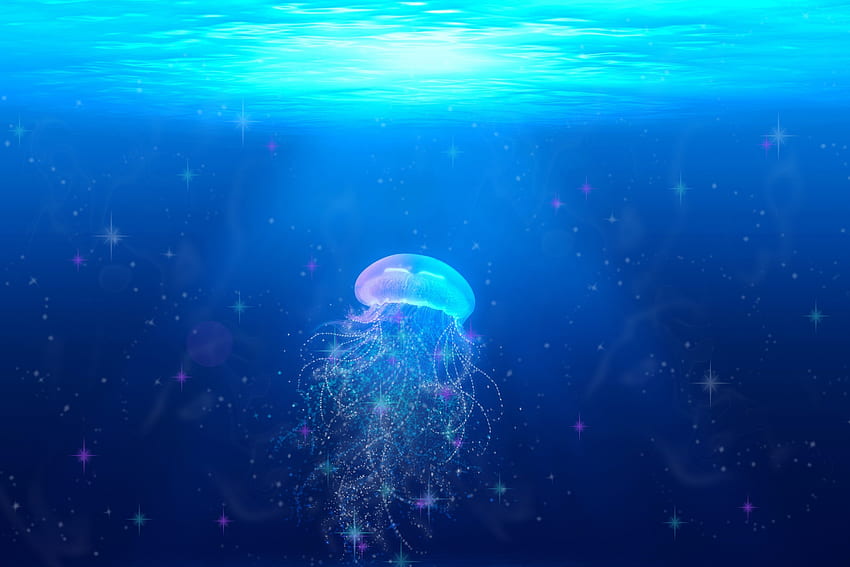 Natura, meduse, mondo sottomarino, nuotare, nuotare, tentacoli Sfondo HD