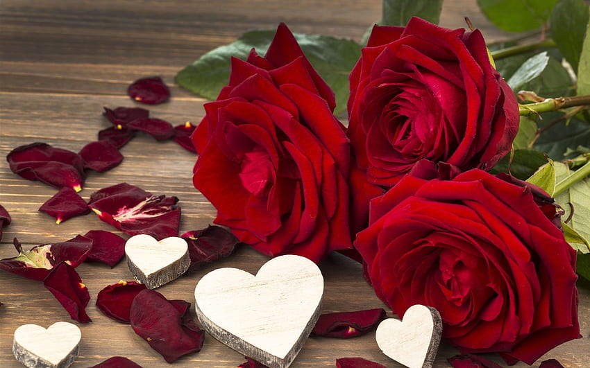 Red rose, flowers, love, Valentine's day, three red flowers • For You For & Mobile, Valentine Heart Flower HD wallpaper